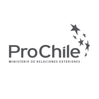 ProChile : Brand Short Description Type Here.