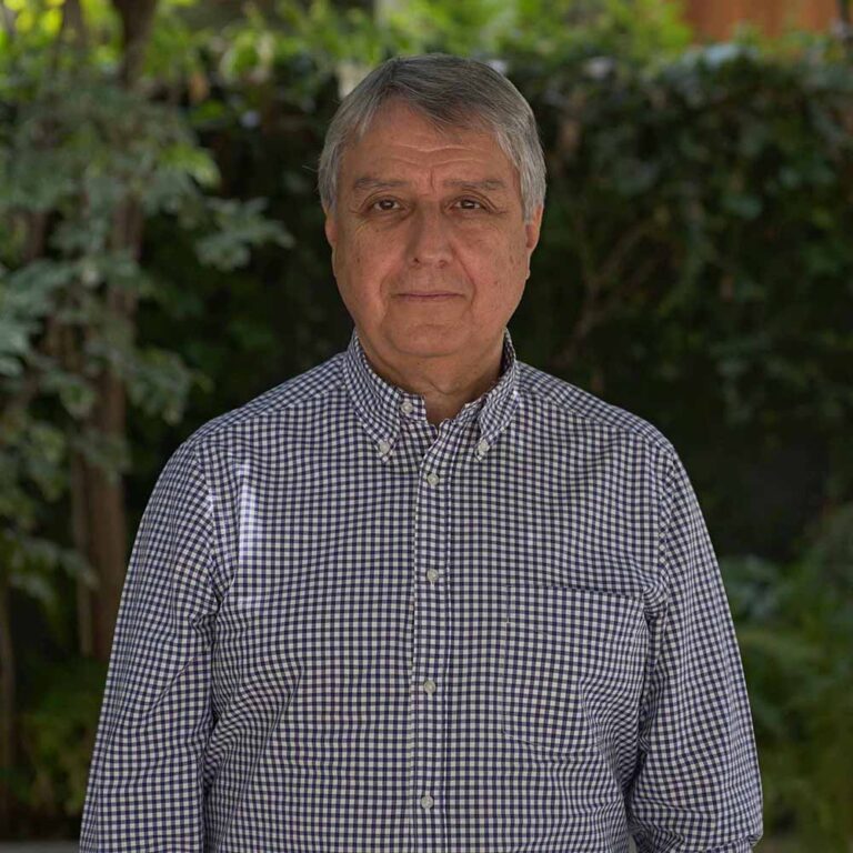 MARCELO MENEGHELLO